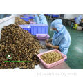 Walnut Kernels Light Helften (LH) van Yunnan